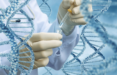 Фактори тривалого життя: як впливати на свій генетичний вік?