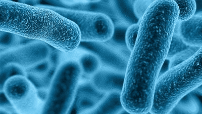 drizhdzhovi-infekcziyi