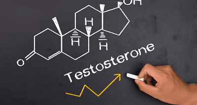 testosteron