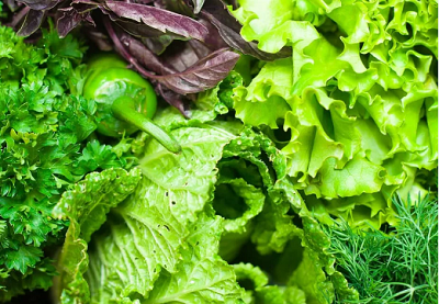 zagalni-pepevagy-ppodyktiv-zelenogo-kolopy.