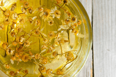 koryst-romashkovogo-chayu-dlya-organizmu